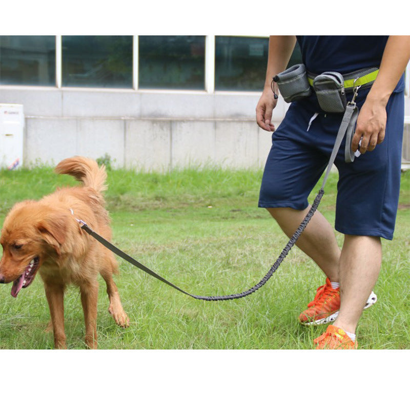 ✨ Adjustable Hands-Free Dog Leash for Running, Walking & Hiking 🐾 – Shock Absorbing, Reflective Design 🌟, Dual-Handle Control 🛡️, Durable & Comfortable for All Dog Sizes 🐕